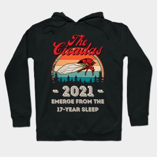 The Cicadas 2021 Emerge From The 17-Year Sleep, Funny Cicada Lover Hoodie